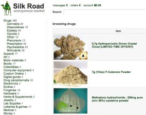 Screenshot of the Silk Road market